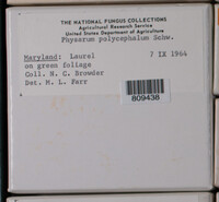 Image Associated With the Occurence